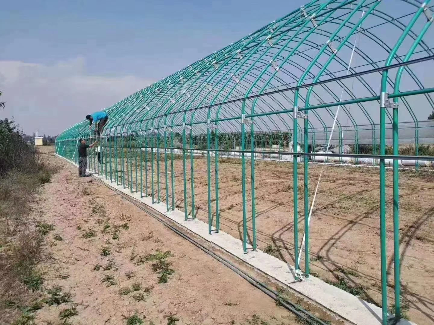 Greenhouse with Smart Film for Vegetable/Flower/Hydroponics Promotion