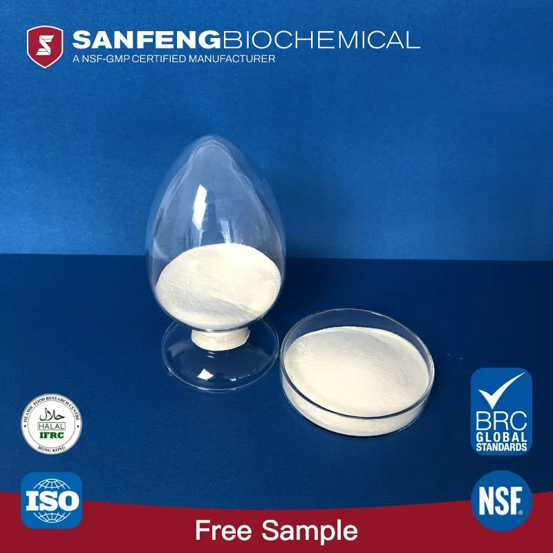 Industrial Grade Raw Material Pancreatin Powder for Digestion with ISO Certificate