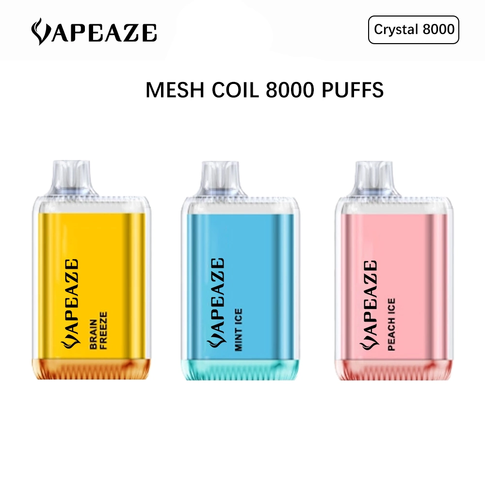 Disposable/Chargeable vape 8000 Puffs Salt Nicotine Attractive Flavors Wholesale/Supplier Manufacturer Price Disposable/Chargeable Vape Puff