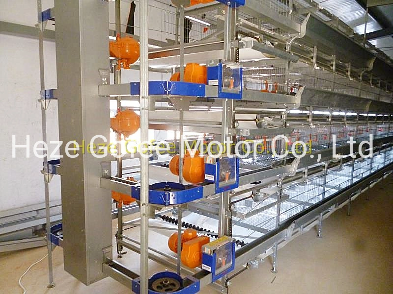 H Type Chicken Broiler Farming Equipmet Cage 4 Tiers Hot Galvanized House Quail Automatic Layer