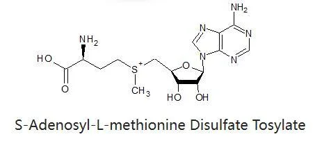 S-Adenosyl-L-Methionin Disulfat Tosylate Pulver CAS 97540-22-2 Großhandel