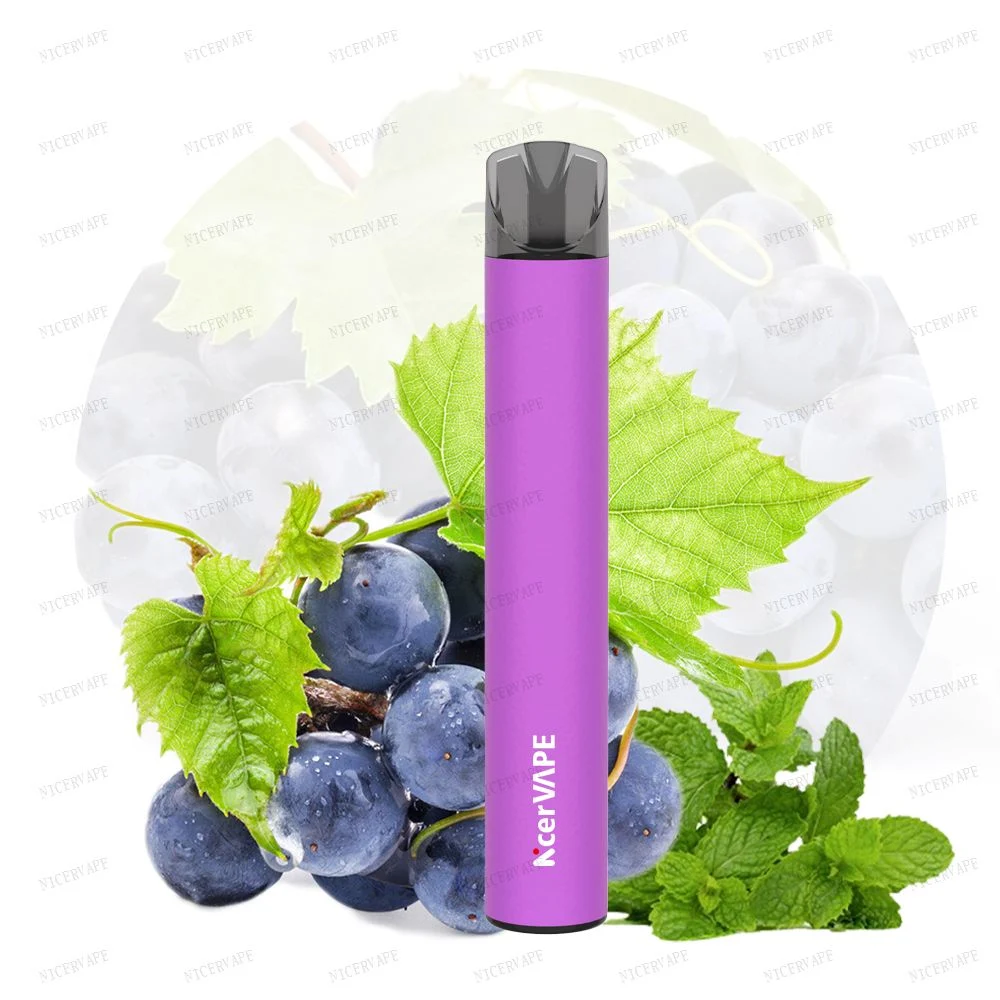 Bebida energética sabor a fruta Mini Cigarro Eletrônico 600 Puffs Vape grossista de feltro