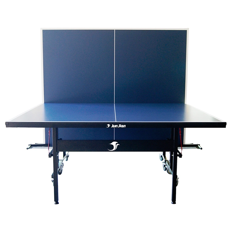 Entertainment Standard Size Indoor Table Tennis Equipment