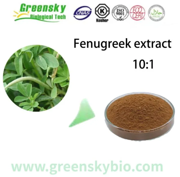 100% طبيعي نقي عضوي بذور فينوجريك مستخرج بذور Powderfenugreek مستخرج من مسحوق بني ناعم 10: 1