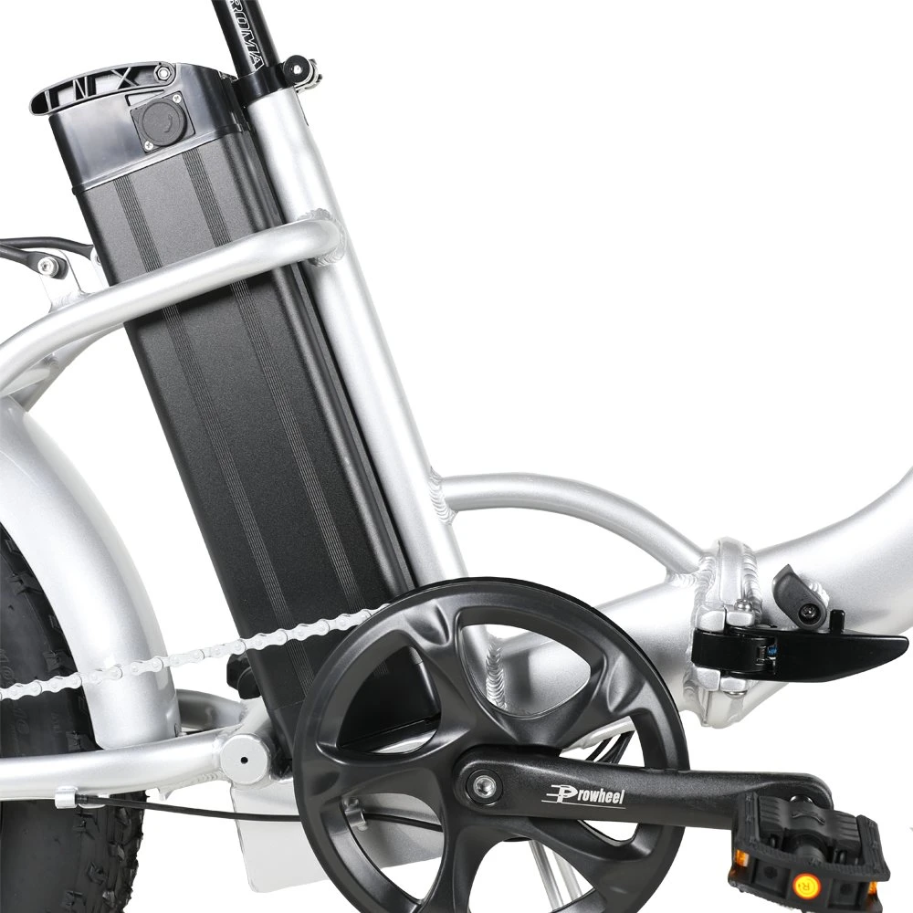 Electric Folding Bike 750W Motor Electric Dirt Bike Adult Fat Tire Electric Bicycle E Bike