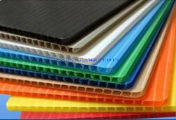 PP Sheet PP Hollow Sheet PP Corrugated Sheet Polypropylene Sheet