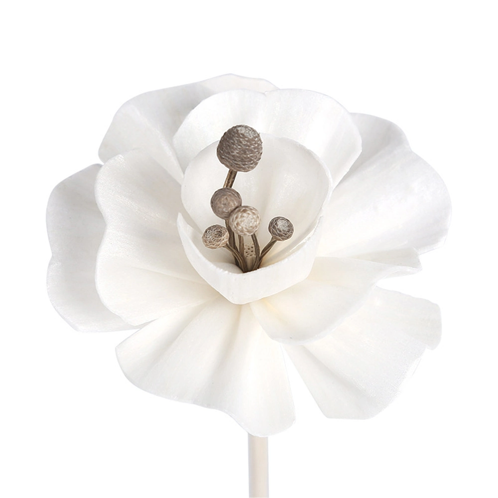 5mm 6mm 7mm Reed Diffuser Sticks elegant Pfingstrose natürliche Sola Blume für Aroma Duft nach Hause
