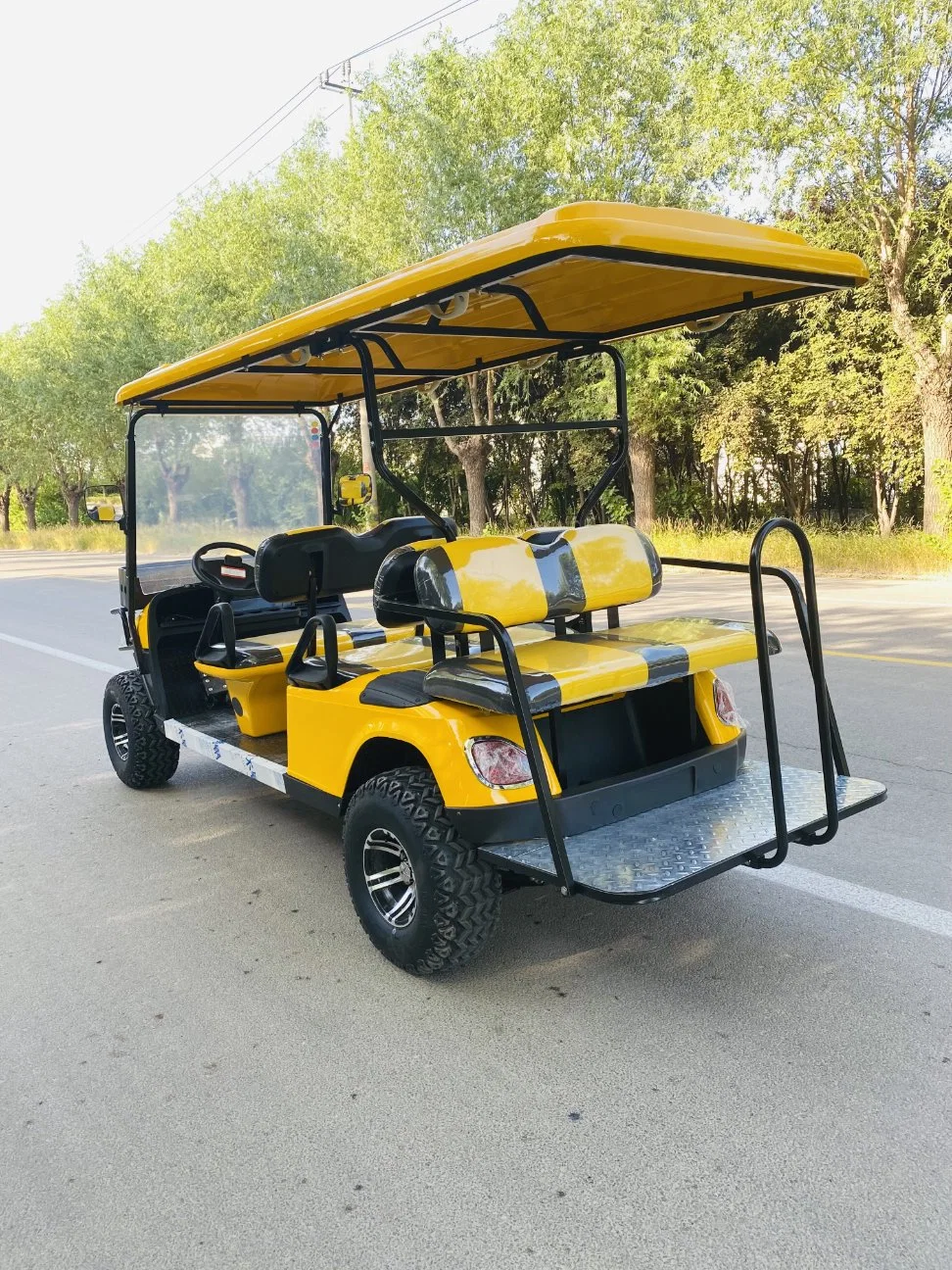 Carro do Golfo eléctrico e eléctrico com gás e luz LED