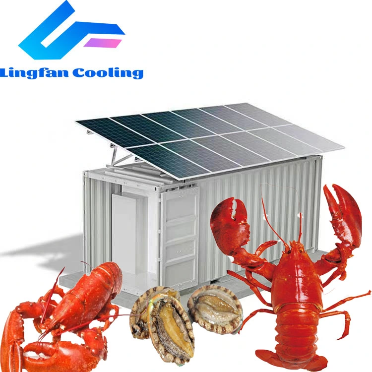 Customized Size 20FT Solar Power Container Freezer Chiller Cold Storage Room