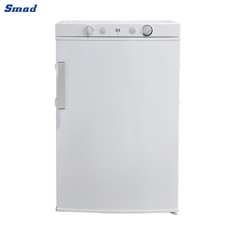 Small Capacity Mini Black/White Lp Gas Electric Rear Mounted Control Gas Refrigerator for DSG-40b1a