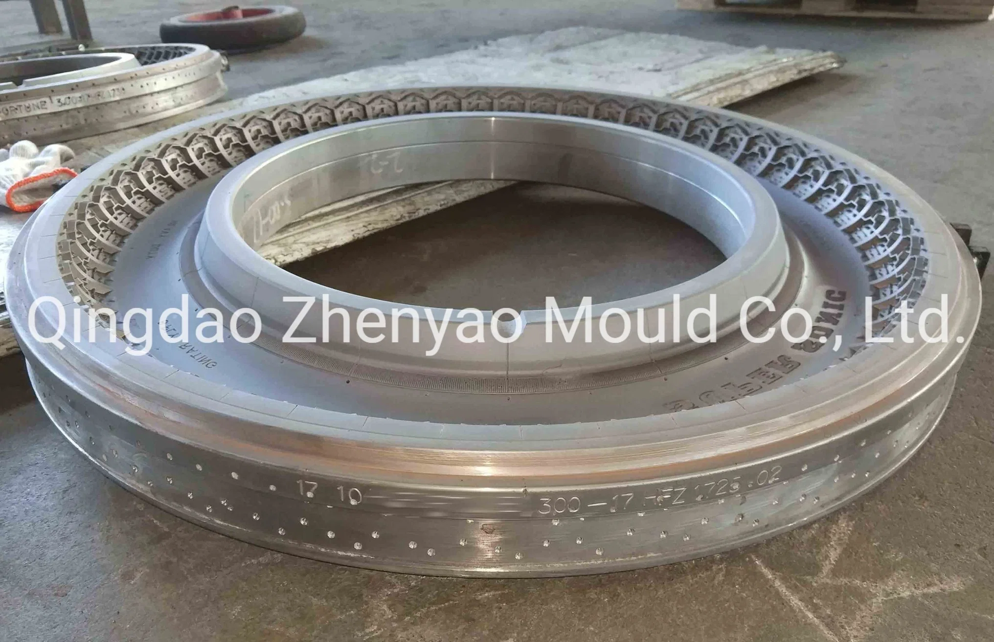 Dual Sport Motor Cycle Tyre Mould