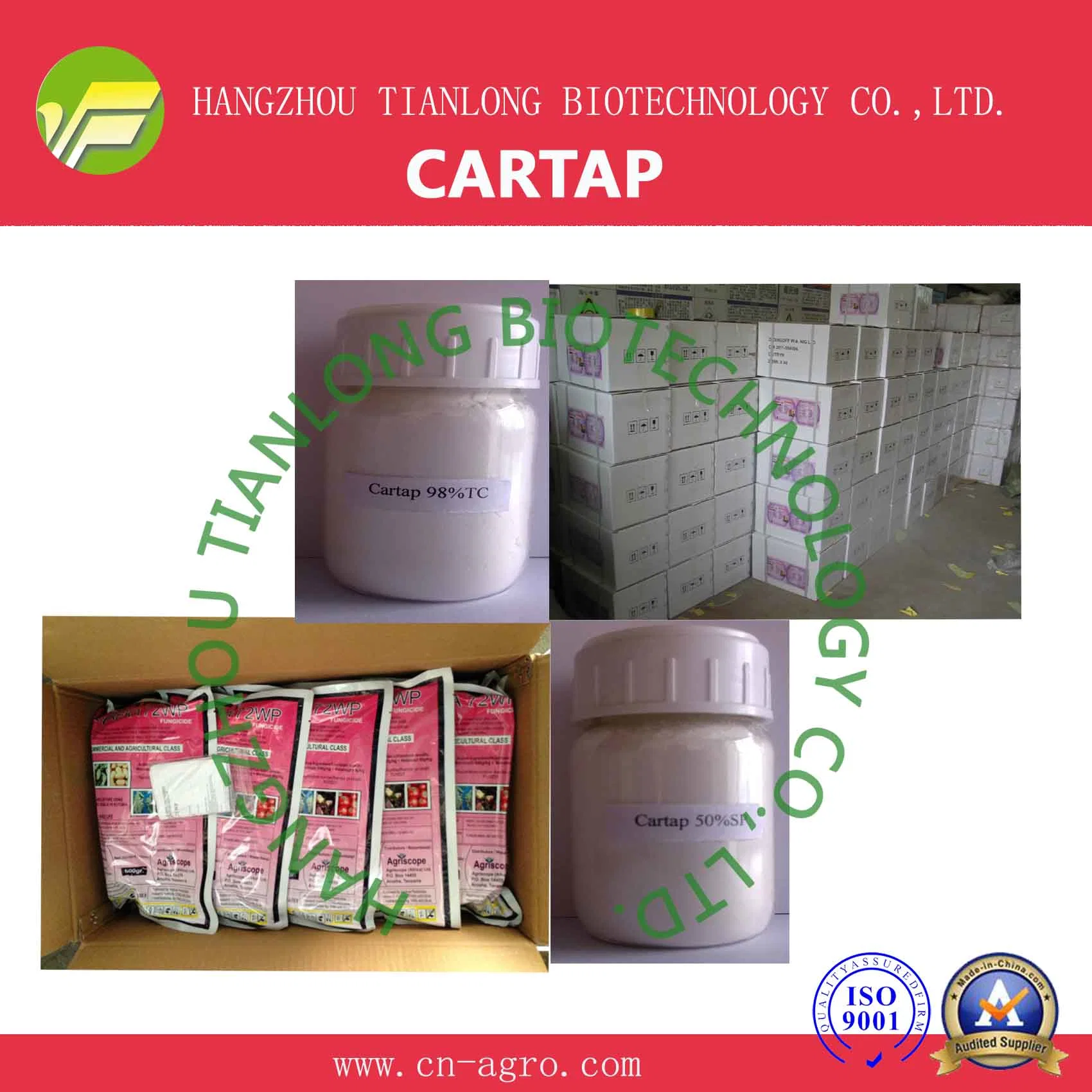 Cartap (98%TC, 25%SP, 50%SP, 70%SP, 98%SP, 0.8%G, 6%G, 9%G)-Insecticide