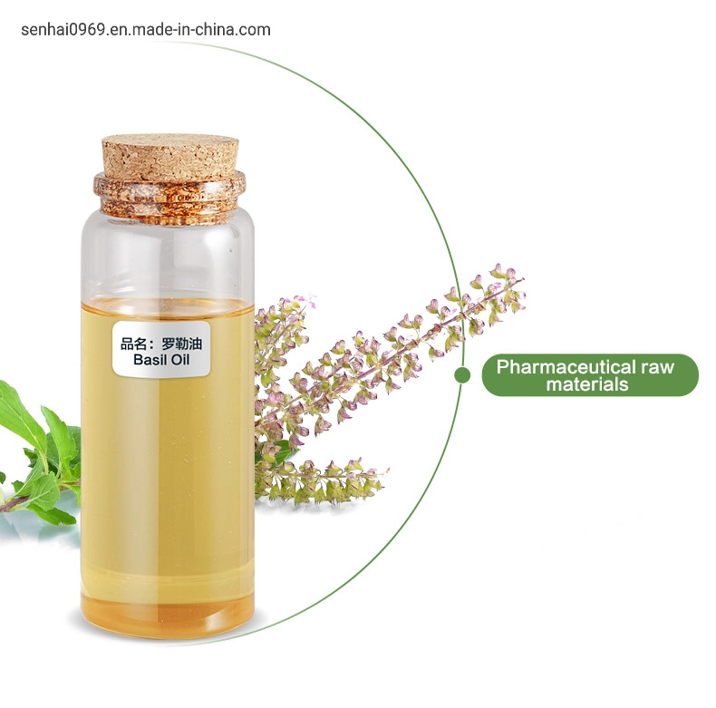 Bulk Wholesale/Supplier Pure Natural Fragrance Perfume Oil CAS 8015-73-4 Basil Oil in Daily Flavor