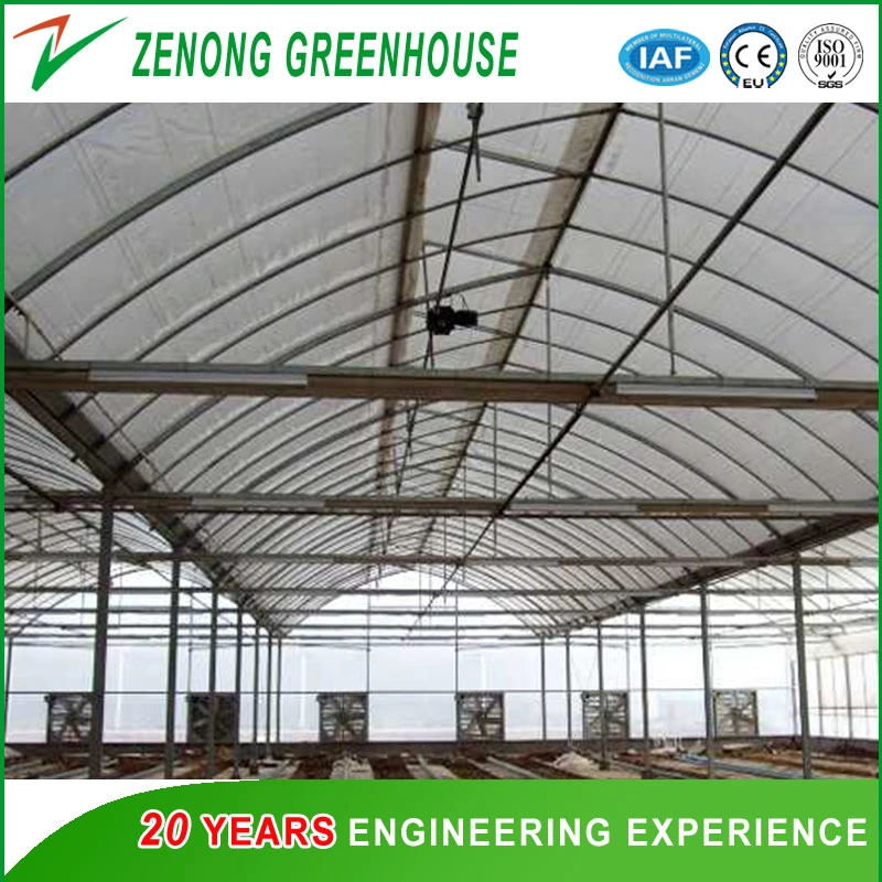 Film Greenhouse with Cooling Pad and Fan System for Cooling Down