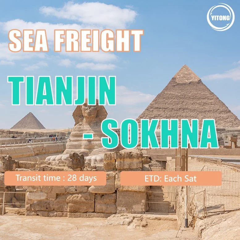 China Shipping to Egypt Sea Freight From Guangzhou to Sokhna China Shipping to Sokhna Price Logistics to Egypt Air Shipping From China to Cairo