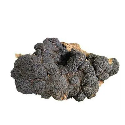 Organic Chaga Mushroom Extract Chaga Mushroom Chaga Powder Chaga Extact Mushroom Powder