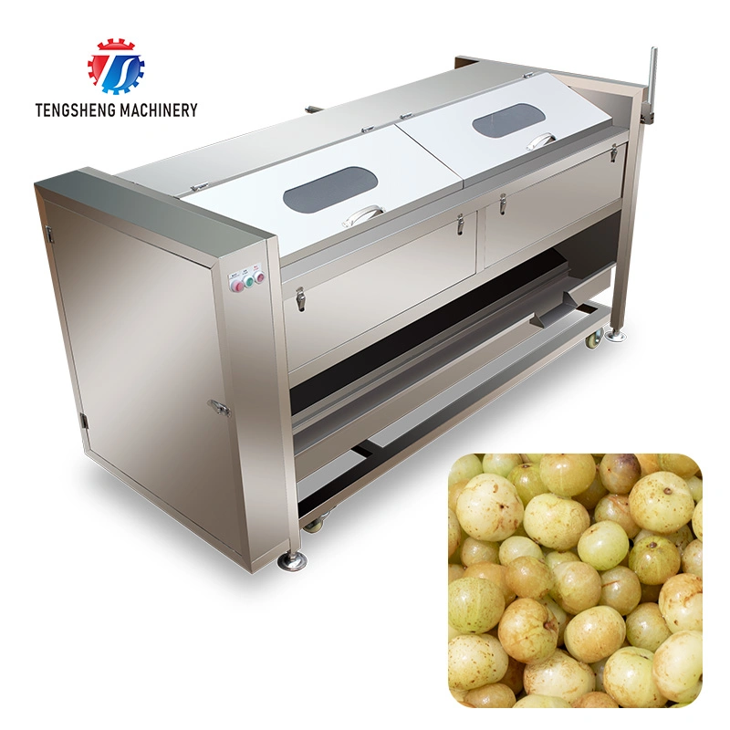 Cash Cleaning Machine Root Vegetable Peeling Equipment Multi-Functional Cleaning Peeling Machine