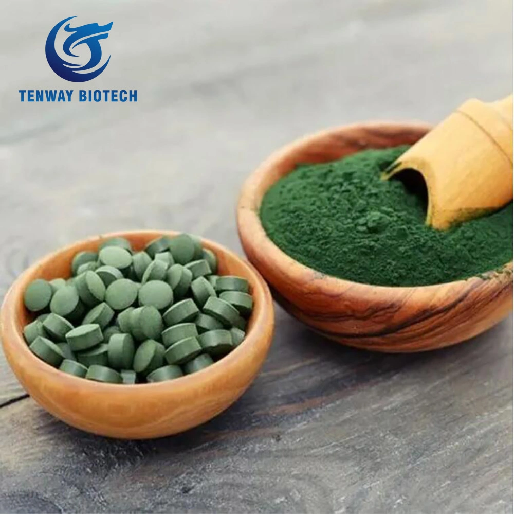 99% Pure Organic Green Powder Natural Chlorella Powder in Bulk Package for Sale at Low Price