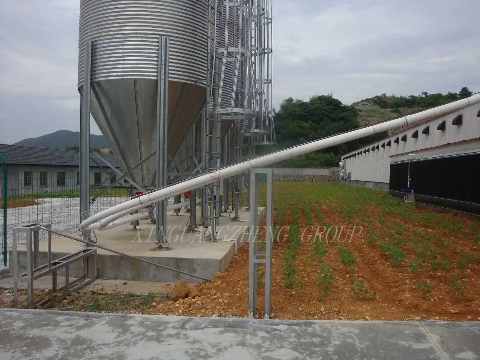 El peso de la luz de prefabricados de bastidor de la estructura de acero granja de pollos de aves de corral de ganado