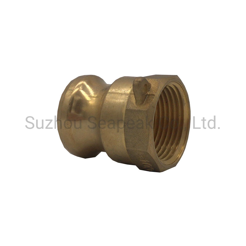 Brass Camlocker 1/2/Inch Pipe Fittings