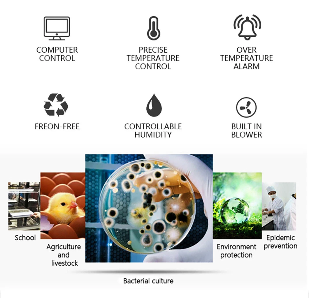 Incubadora Climática BioBase Bjpx-A250/II para laboratorio e industria