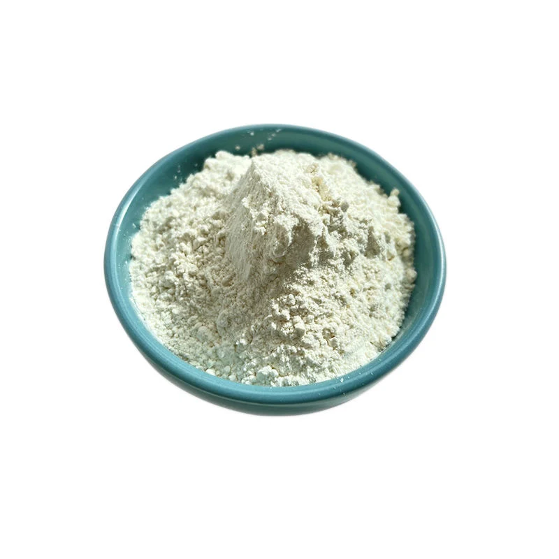 Wholesale/Supplier Best Price Aloe Vera Gel Powder Freeze Dried Powder 200X Aloe Vera Extract Powder