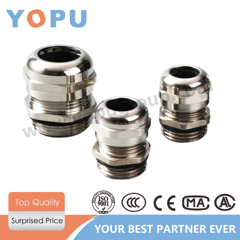 IP68 Waterproof Multiple Hole Pg7-Pg63 M8-M100 Thread Size Cable Gland Brass Metal Cable Glands