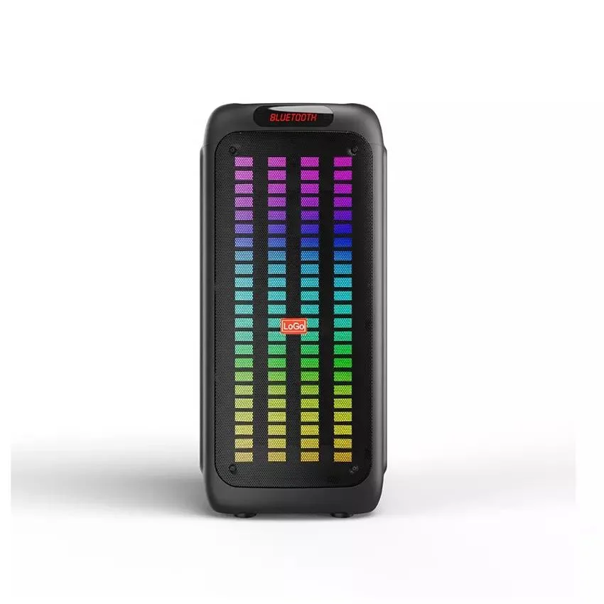 Woofer de 10 polegadas Temeisheng Dual active Portable Party Wireless Altifalante Bluetooth