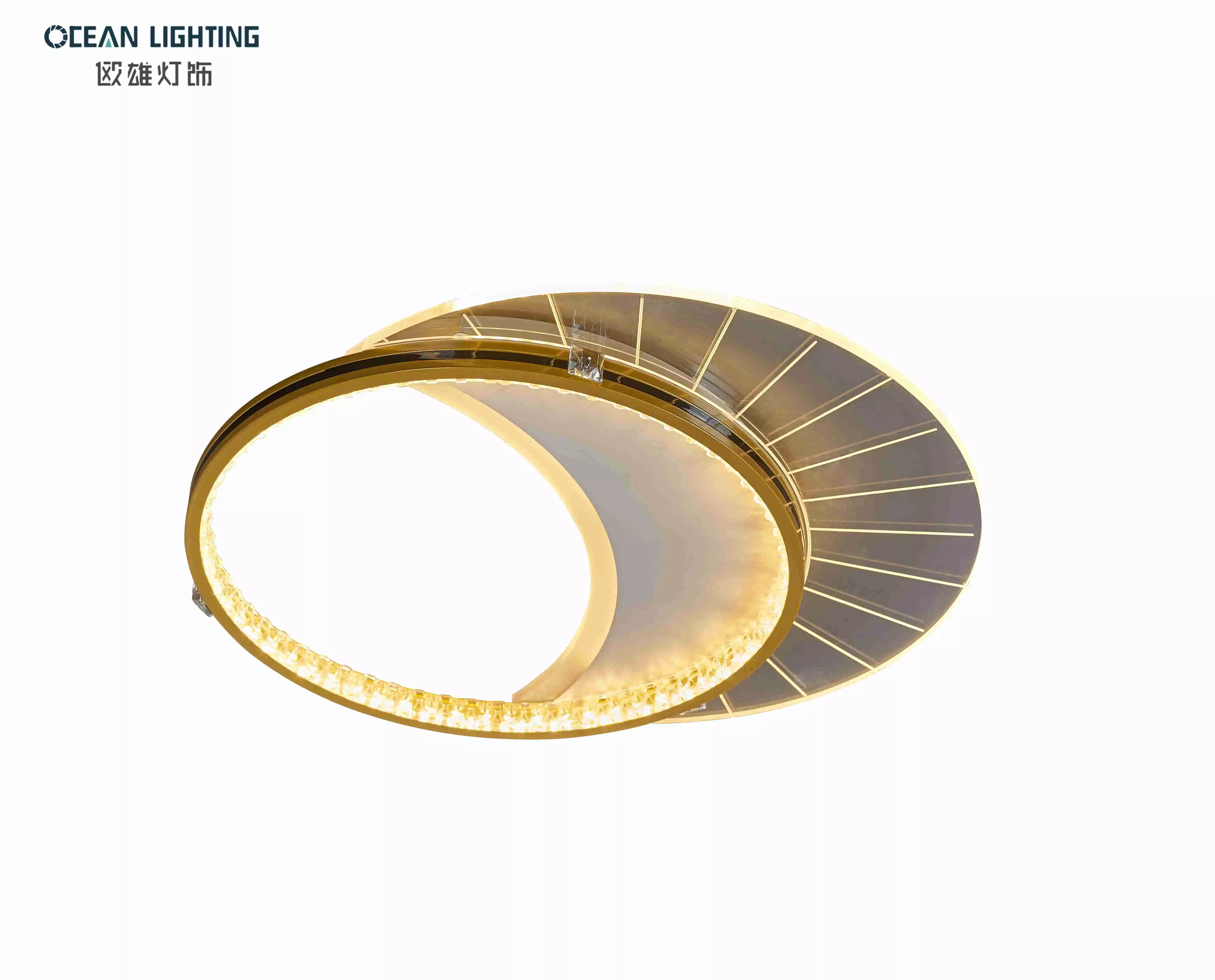 2023 High Quality Modern Luxury Simple Fashion Art Decoration Chandelier Lighting Ceiling Lamp Lights