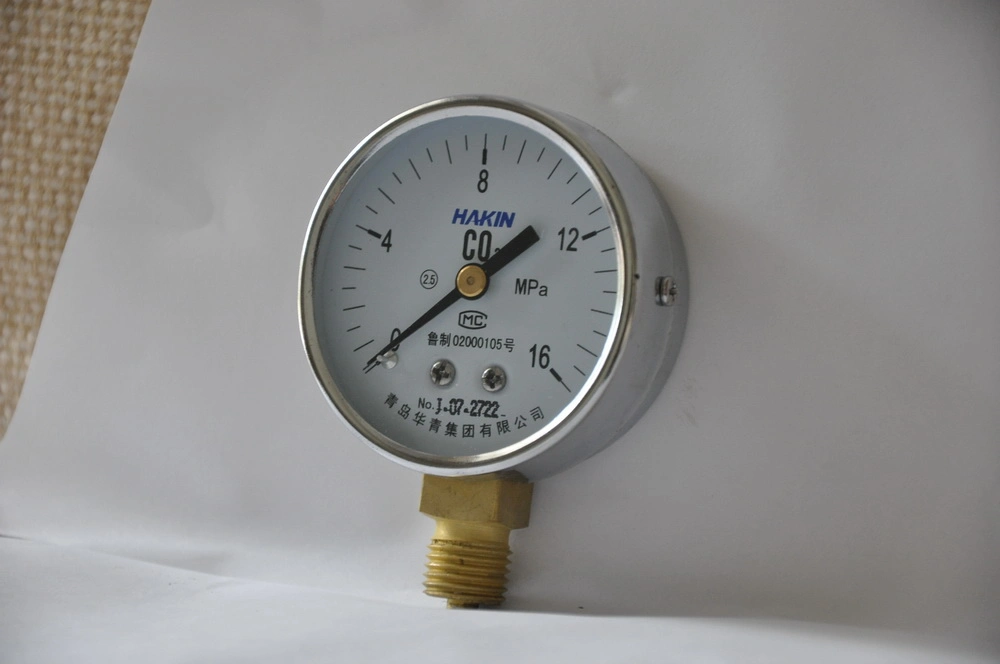 Top Quality Auto Parts Stainless Steel Pressure Gauge for Industry