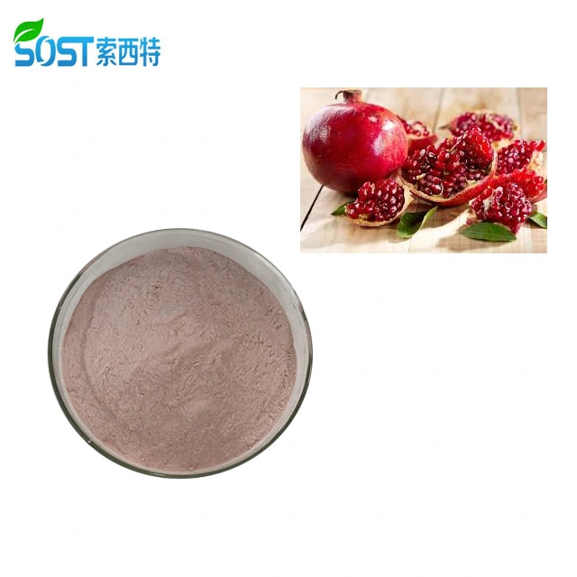 SOST Supply Fresh Organic Instant Drink Pomegranate Fruit Juice Powder