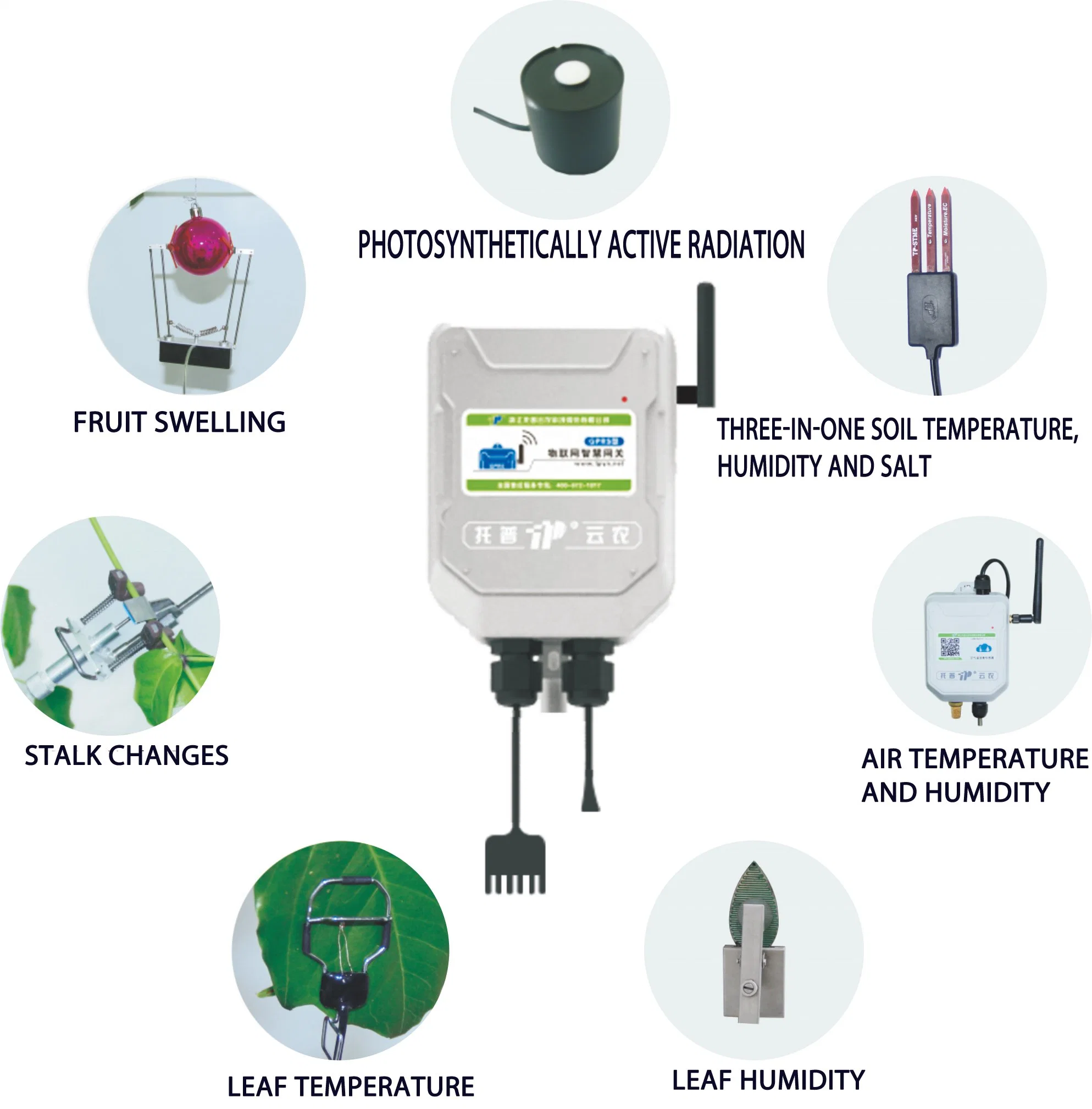 Plant Physiology and Ecology Monitoring System