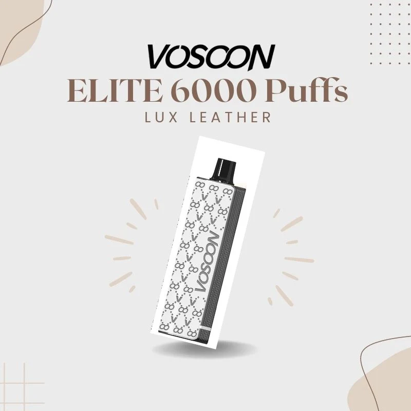 Vente en gros Vape jetable Nouveau Lux Vape jetable cuir mesh Coil Vaporisateur E-cigarette Wape 6000 puffs Vape rechargeable