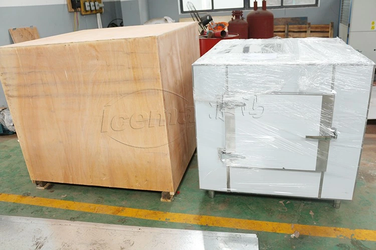 Icema Full Automatic Flake Ice Making Machine Used for Food Processing