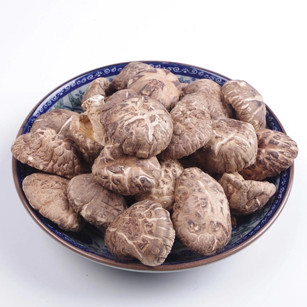 Dried Shiitake Mushroom, Dry Mushroom Tea Flower Supplier