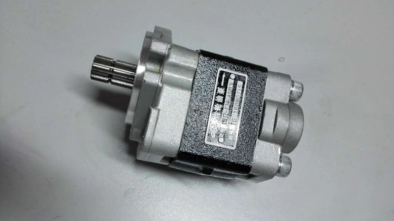 Hot Salehydraulic Gear Oil Pump for Forklift