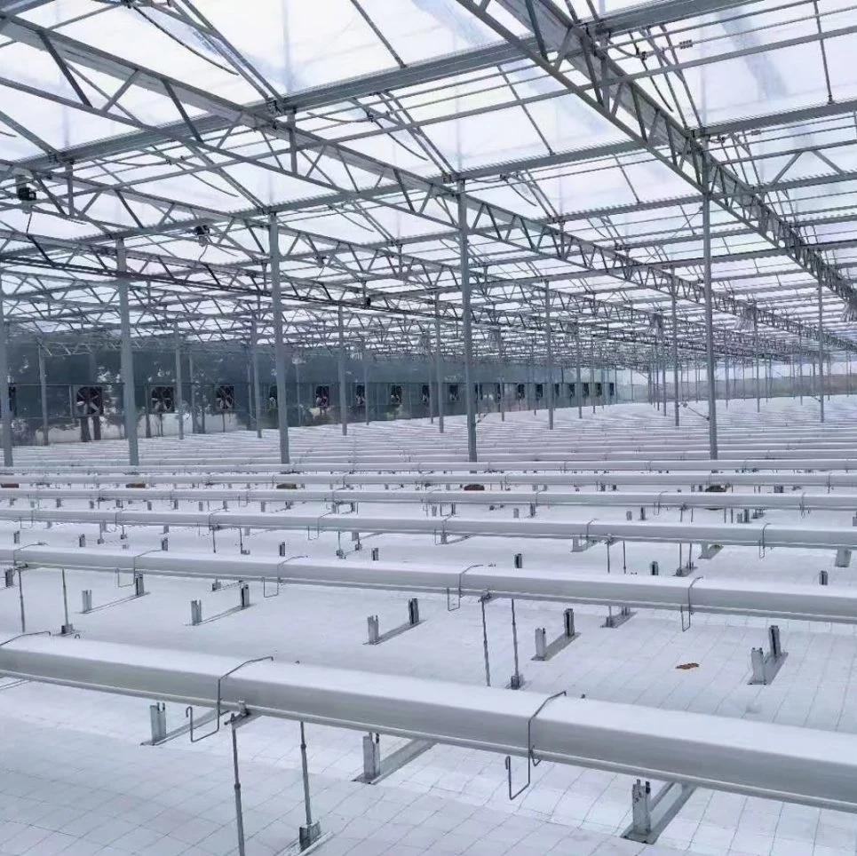 نظام قنوات Hydroponic للبيع الساخن في Greenhouse and Farm Nft القنوات