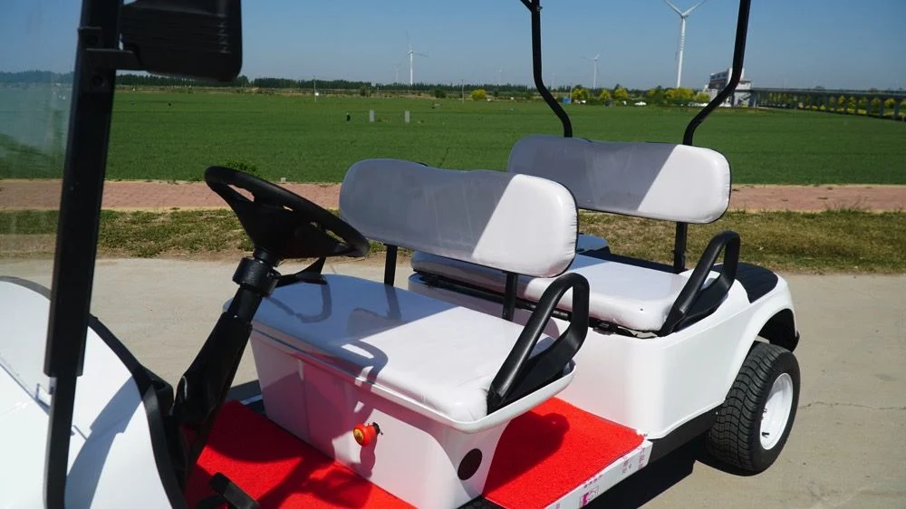 Electric 2 Row 4 Seats Golf Car, Golf Buggy, Golf Trolley, Golf Utility, Golf Cart for Amusement Park, Parkland, Scenic Area, Tourist Attraction, Shopping Malls