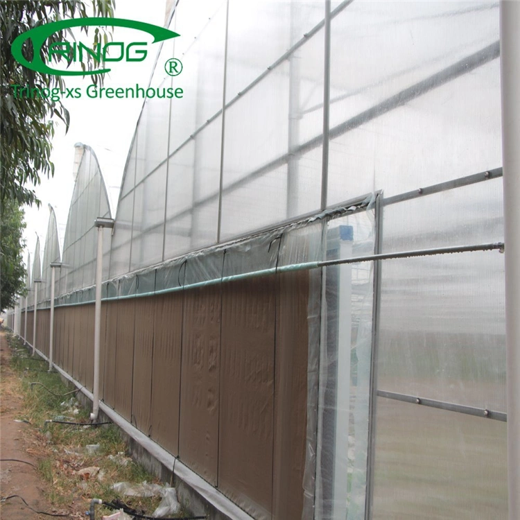 Low Price Agricultural Multi-span Film Greenhouse for Sale