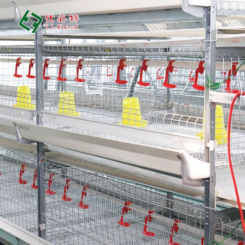 Automatic H/a Type Bird Broiler Chicken Battery Breeding Cages for Poultry Farm