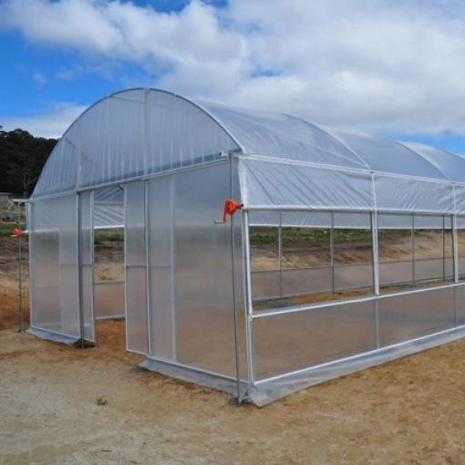 Film Plastic Fruits Single Span Tunnel Warm Greenhouse with Ventilation System for Vegetables Growing