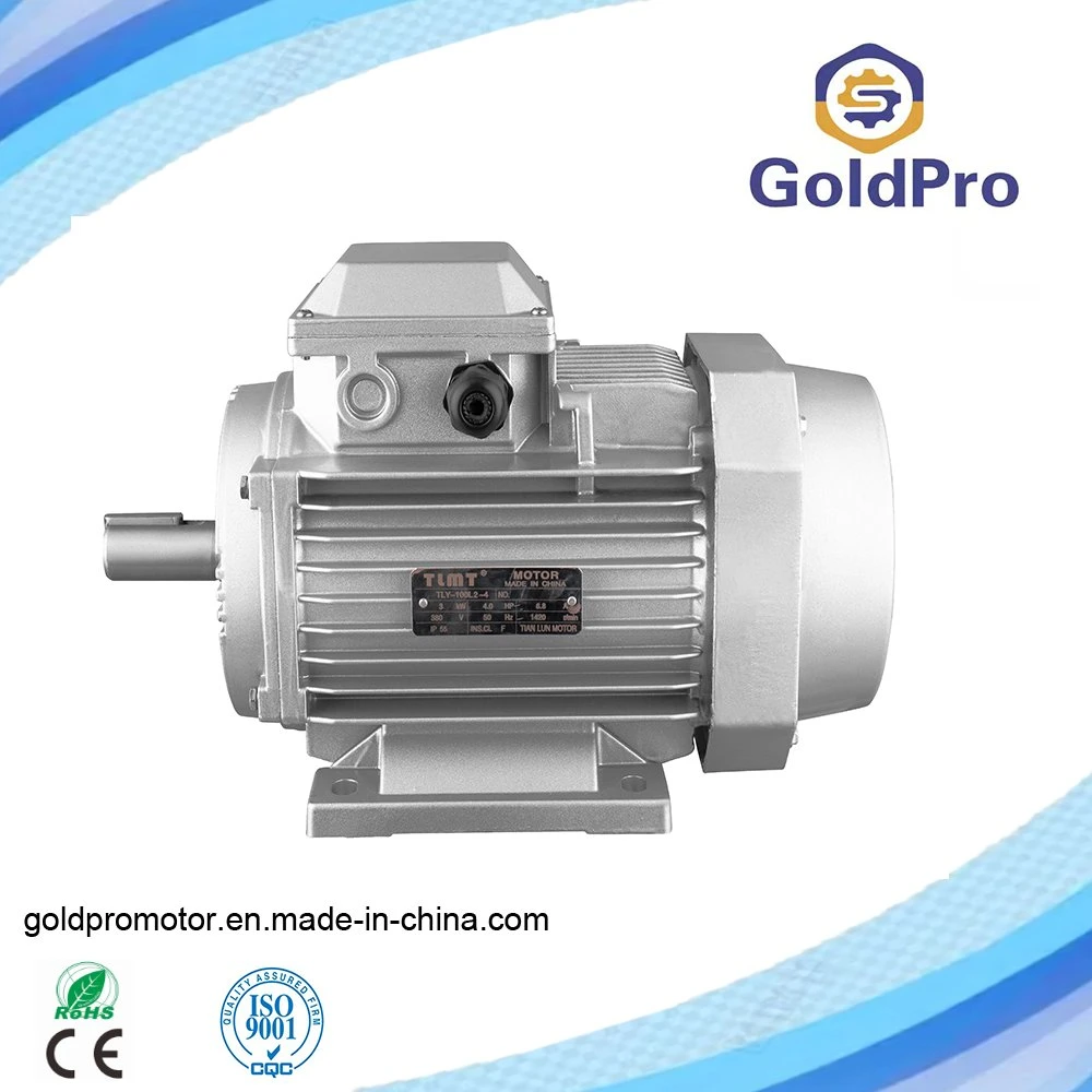 Ms Ys IEC Standard Aluminium Housing High Efficiency Good Quality Electric Motor