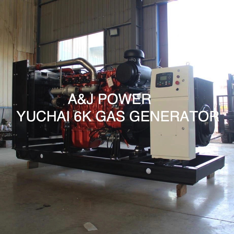 800kw 1000kVA Natural Gas CNG LNG Electric Power Generator Set