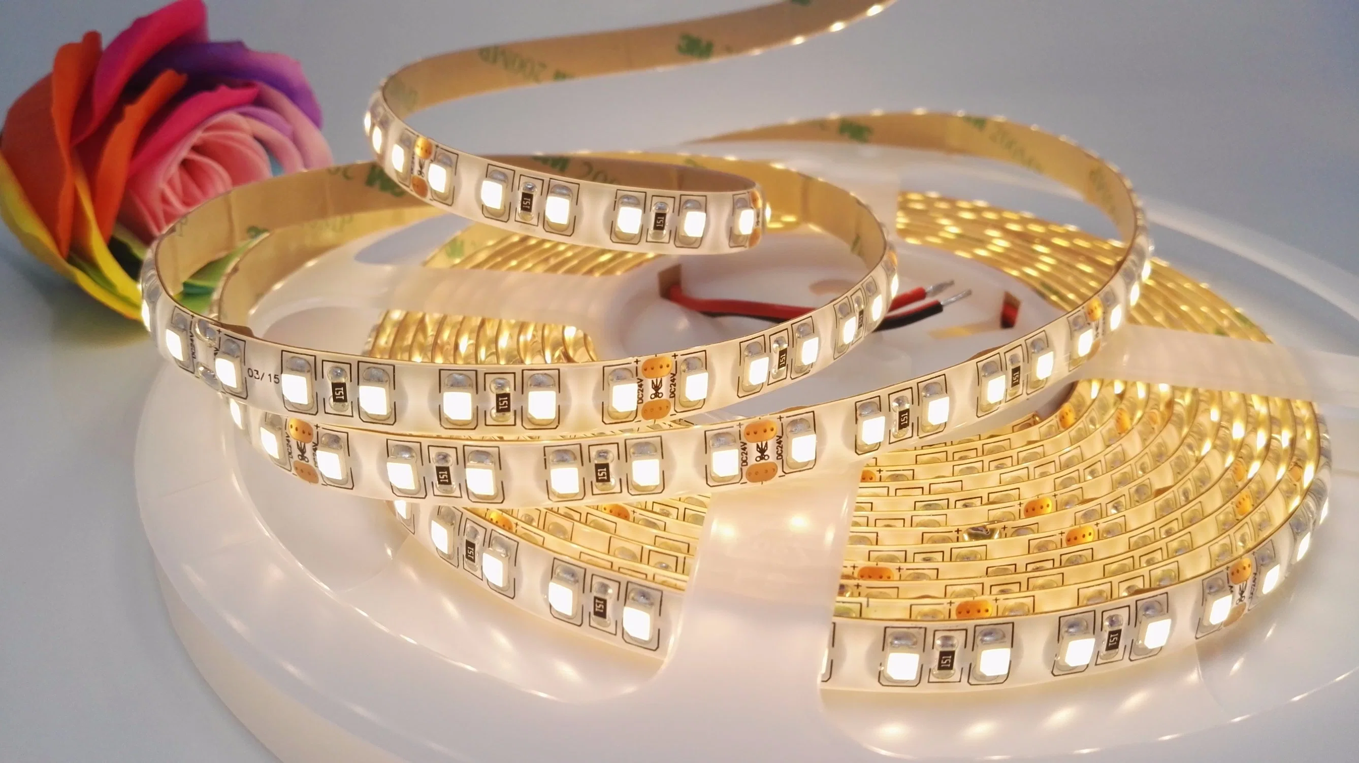 Shenzhen Factory SMD3528 120LEDs /M Flexible LED Strip Light