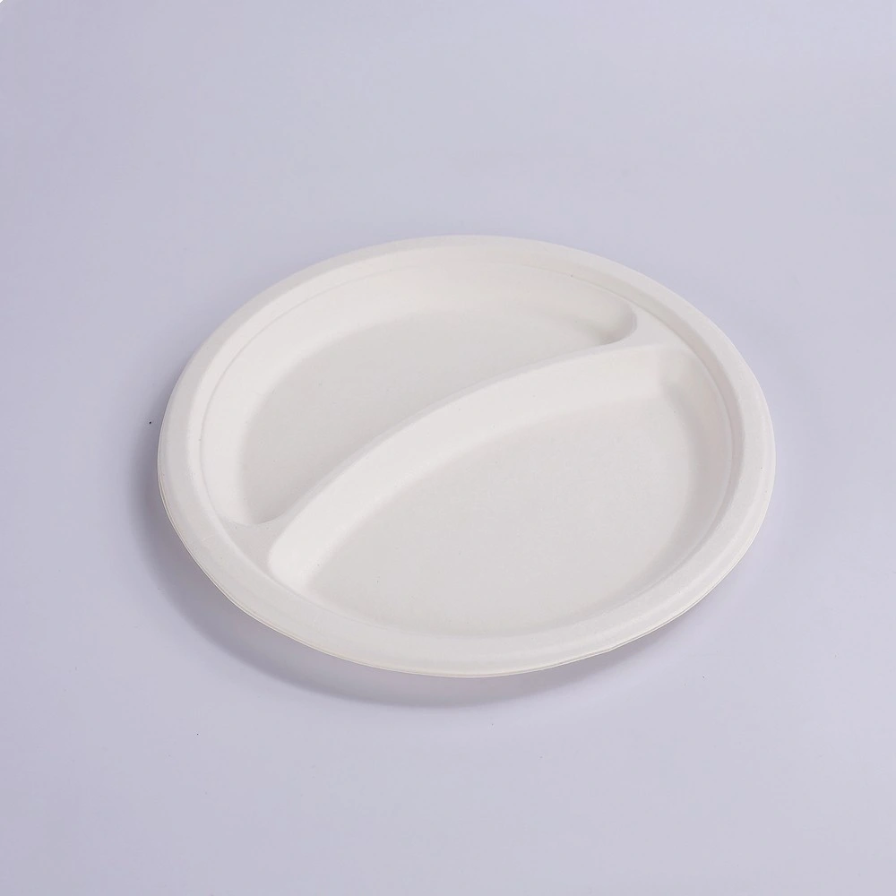 Assiette écologique biodégradable Vaisselle jetable en papier Plateau carré en bagasse de canne à sucre