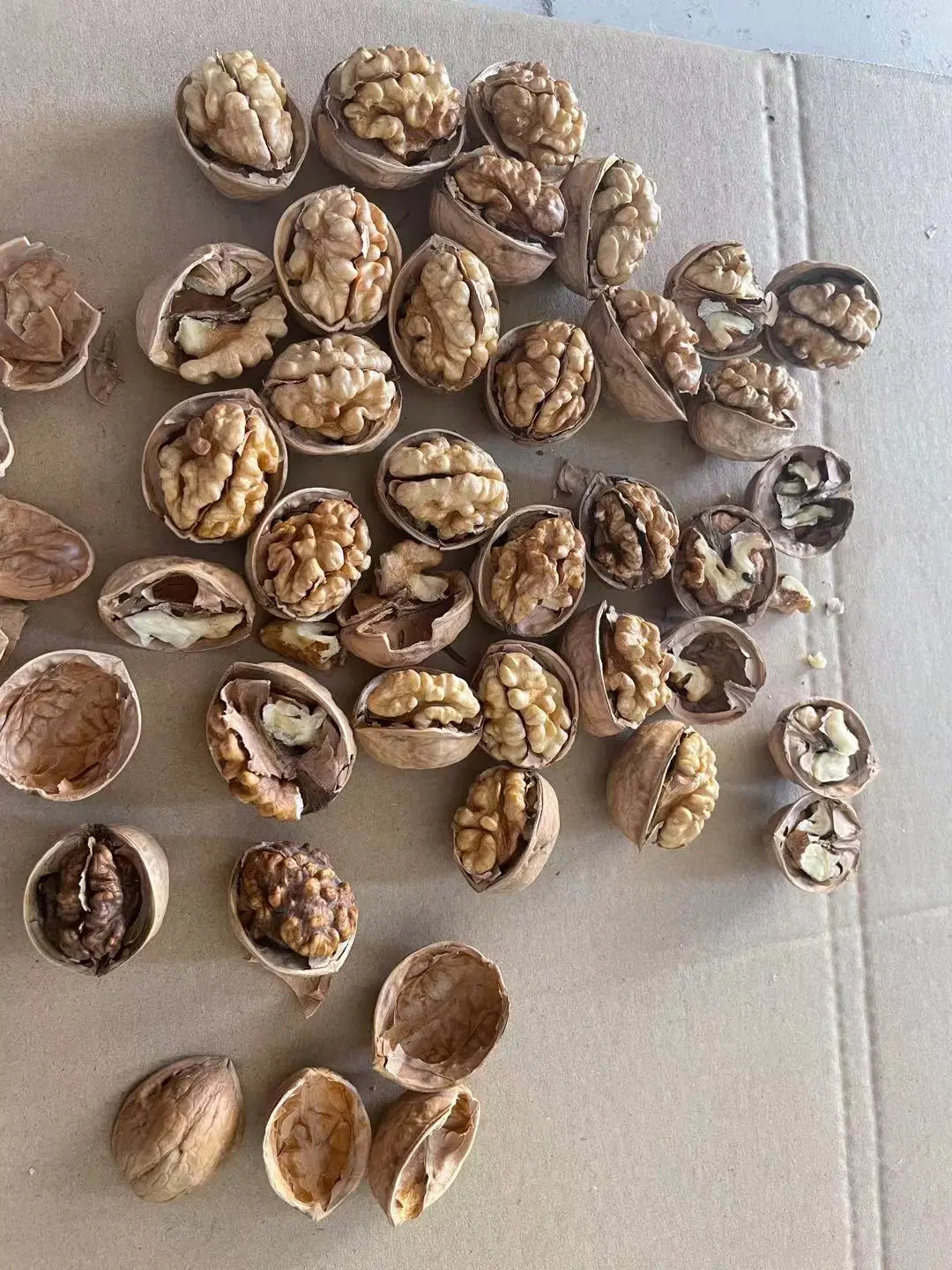 Sell Xinjiang 185 Walnut Kernel Raw Walnut Promotion Price