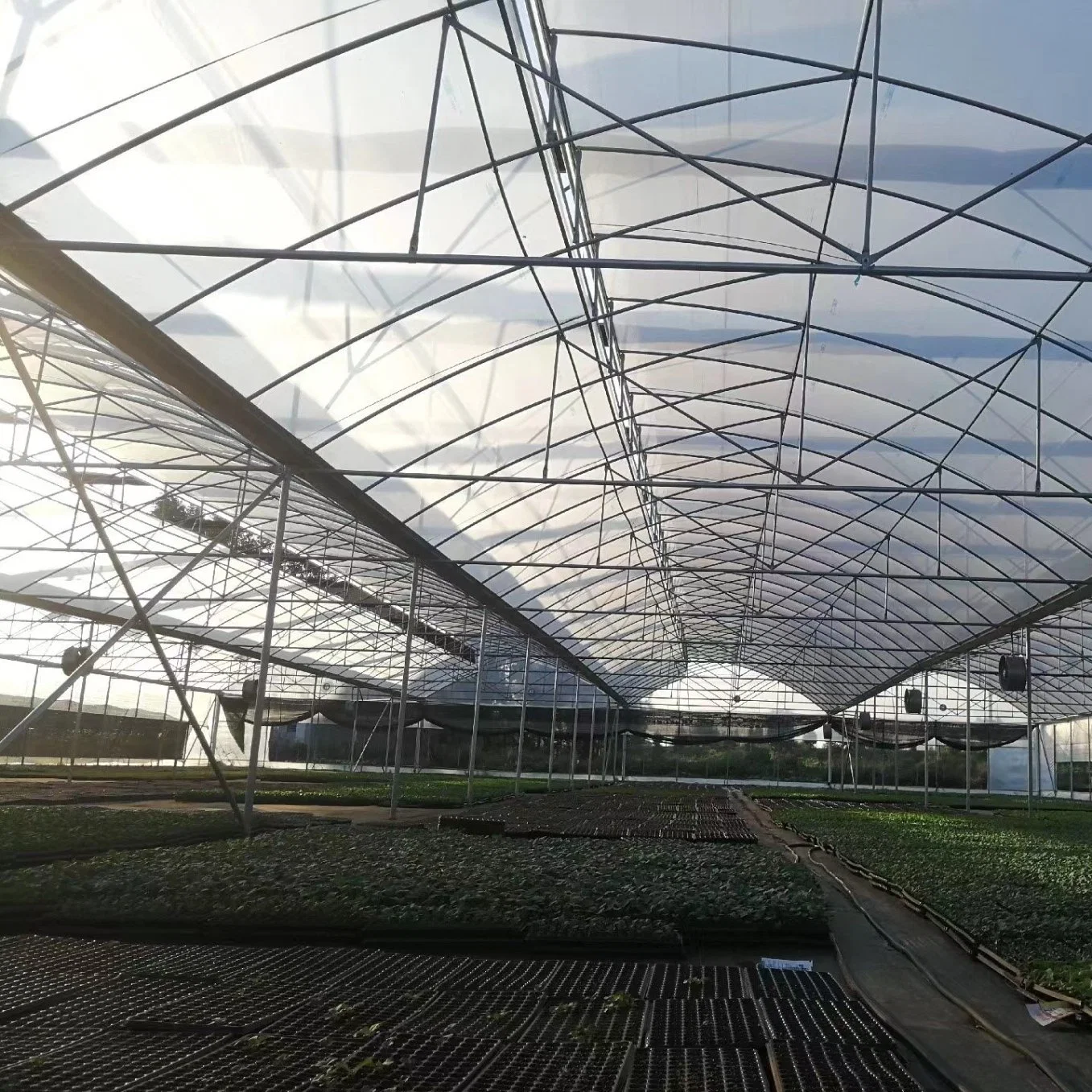 High UV Resistant Vegetables 6 Mil 8 Mil Agriculture Plastic Greenhouse Film 120mic 200 Micron Greenhouse Cover