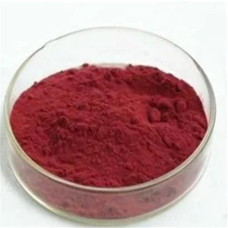 Natural Blueberry Extract 5%-30% Anthocyanidin Anthocyanin Powder