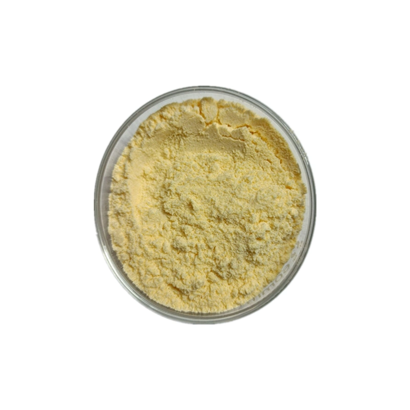 Factory Price High quality/High cost performance Ferric Sulfate / Spfs / CAS 10028-22-5