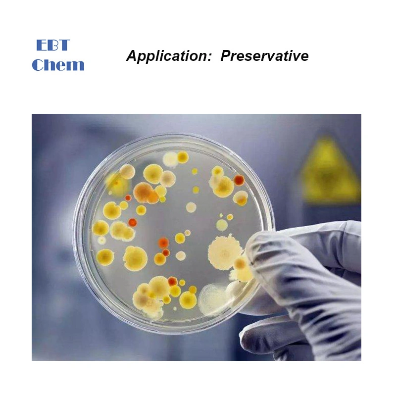 in-Can Preservative Rocima Bt 2s Equivalent 1, 2-Benzisothiazolin-3-One